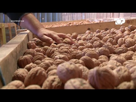 Na ishin njëherë Arrat – Në Shtëpinë Tonë