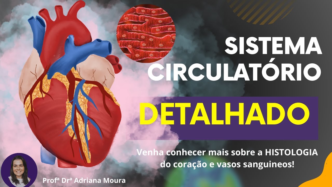 A Histologia Detalhada do Sistema Cardiovascular: Coração e Vasos Sanguíneos