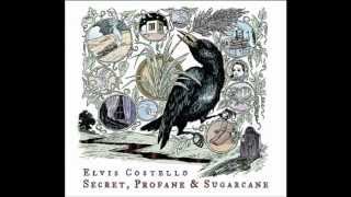 Hidden Shame - Secret, Profane &amp; Sugarcane