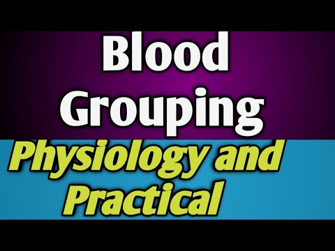 Determination of blood groups animation - Physiology practical's..Taj medicare