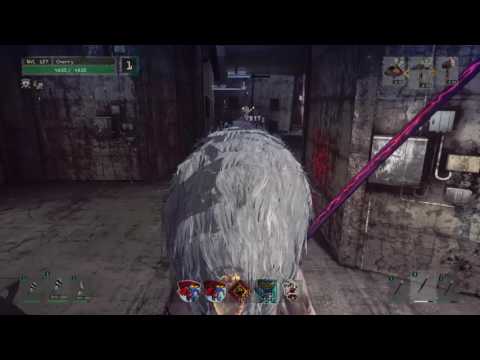 LET IT DIE - Jackals fighting each other!