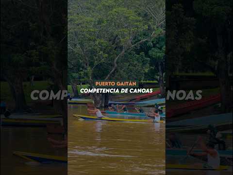 Carrera de canoas en el festival de la cachama de Puerto Gaitán 💪 #rio #pesca #competencia #llano