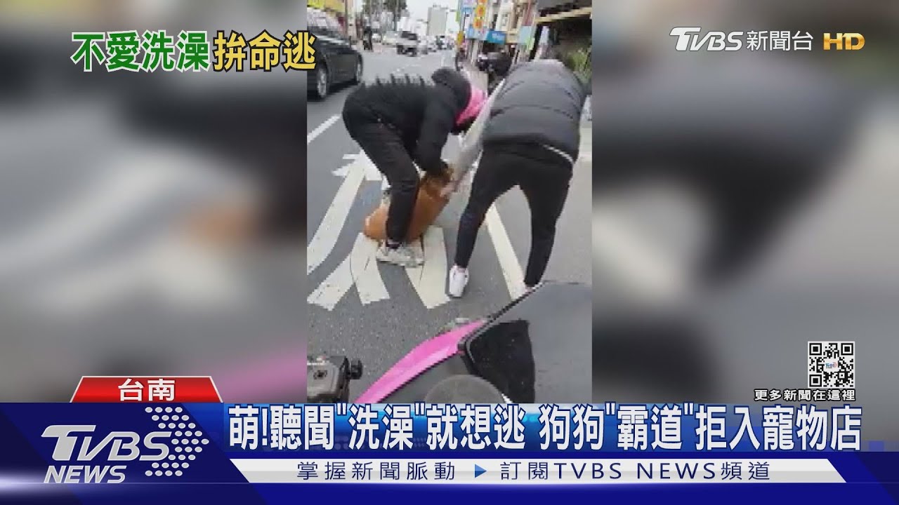 好萌！聽聞「洗澡」就想逃　狗狗「霸道」拒入寵物店