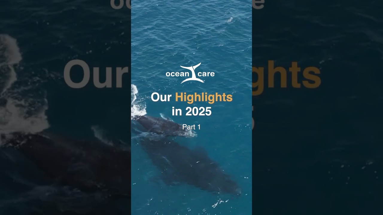 Milestone Moments in 2025 (Part 1): A Global Movement for a Blue Planet