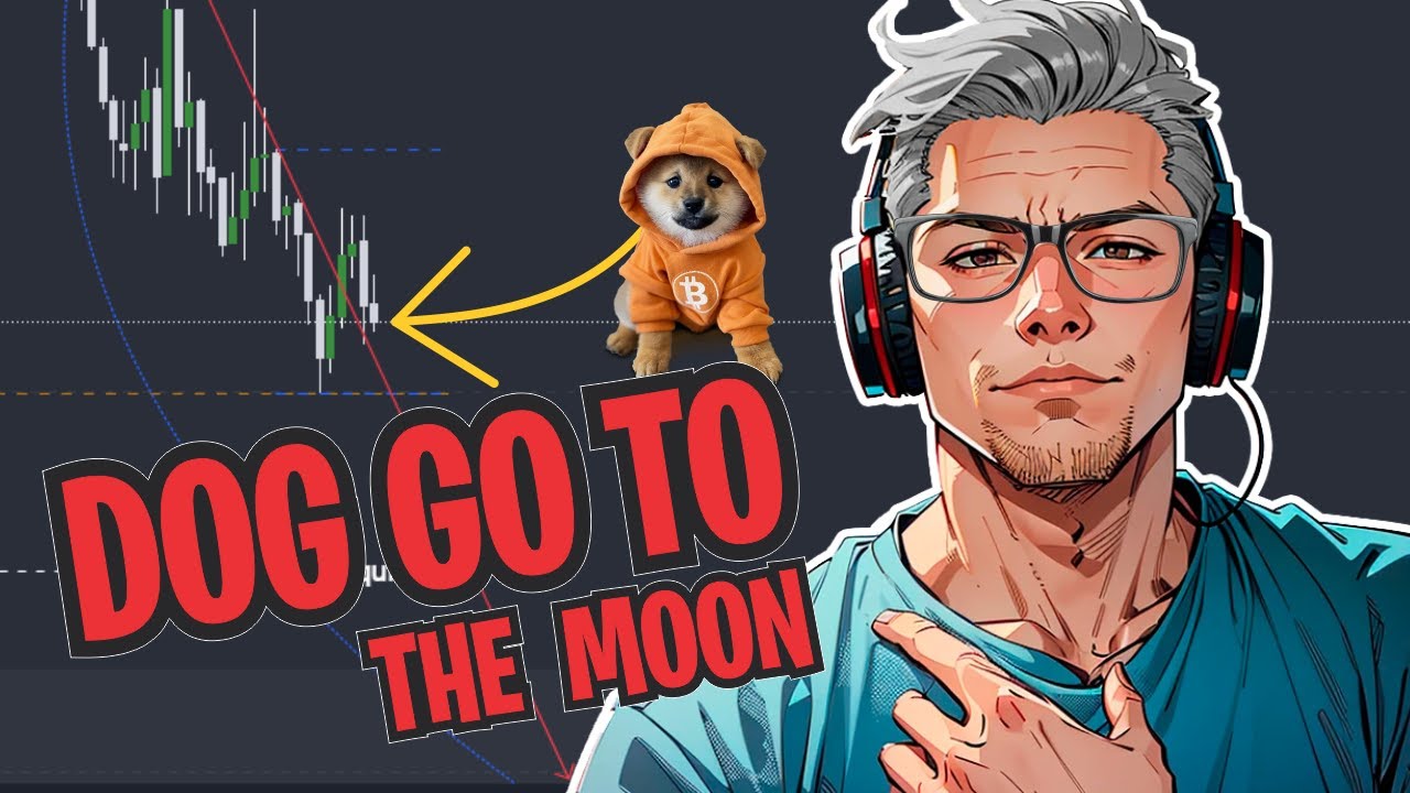 🔴DOG GO TO THE MOON (DOG): PRÓXIMAS MOVIMENTAÇÕES - Análise de HOJE | VD275 #dkcriptotrader