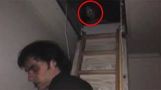 11 Mysterious Encounters with Creatures