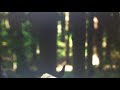 Barney S Great Adventure Full Forest Scene