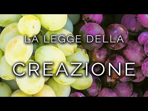 1363-IT Eleonora, LA LEGGE DELLA CREAZIONE - Ipnosi Esoterica ∞ Lucio Carsi