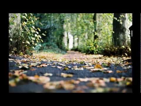 Autunno dolciastro - Carmen Consoli - Cover video thumbnail