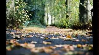 Autunno dolciastro - Carmen Consoli - Cover