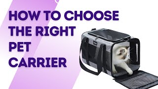 How to choose the right pet carrier in 2026 -  Best pet carr