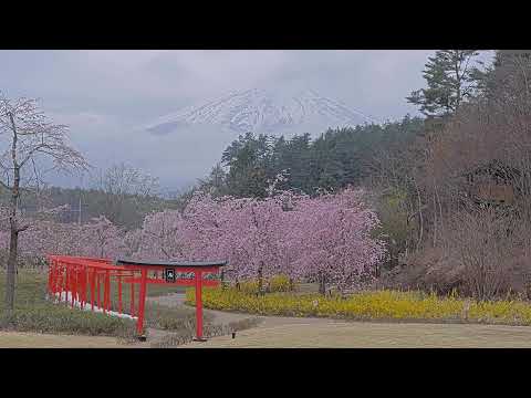 忍野忍村（富士山）