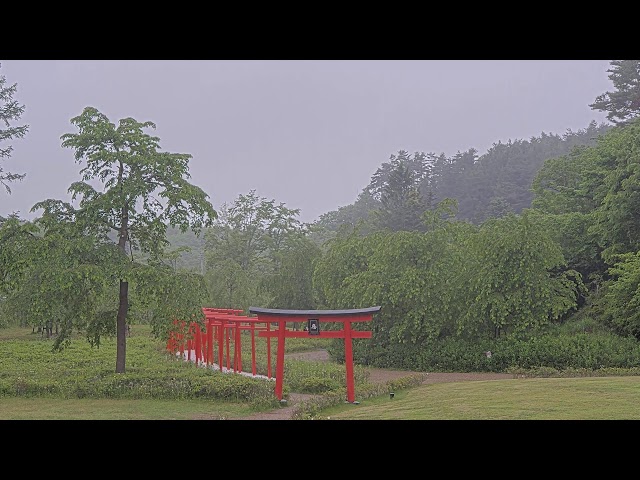 忍野しのびの里