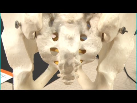 Come trattare le articolazioni bardana La degenerazione del menisco dellartrosi del ginocchio