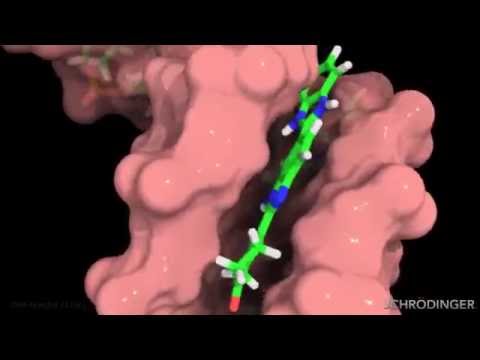 Schrödinger Scientific Animations and Visual Effects (Show Reel 2013)