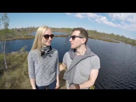 Purvu bridēji Ķemeru tīrelī