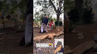 Download lagu sehatkan aku dan berilah umur yang berkah ya Rab 🤲😭#videoshort #fyp #jangkauanluas mp3