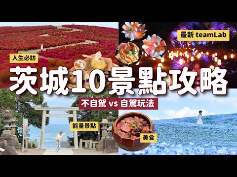 茨城10景點攻略✨自駕不自駕都能玩｜國營常陸海濱公園掃帚草 teamLab幽谷隱田跡 和牛三吃 那珂魚市場新鮮海鮮 神社巡禮 番薯甜點｜日本關東自由行 4K Vlog