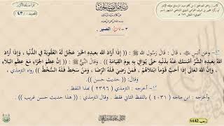 شرح رياض الصالحين ، الحديث 43 || د. ماهر ياسين الفحل image