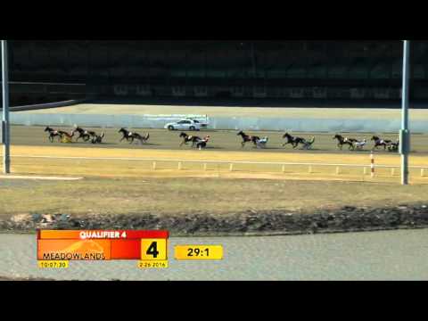 Meadowlands Qualifier #4 - February 26, 2016 - Always At My Place