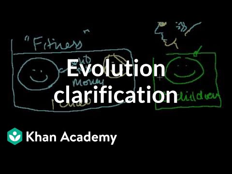 Clarifying Points on Evolution