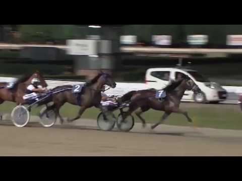 IPPICA: Ippodromo del Savio, giunge al termine il "Trofeo senza Frusta" - VIDEO