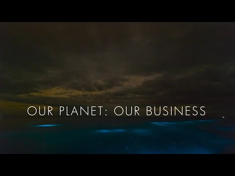 Learn about our work with businesses | WWF