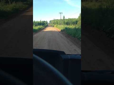 na rota da natureza em Pindoretama-CE #deus #automobile #fé #caminhoneiro #nordeste #turismo #ceará