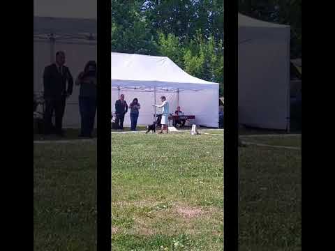 Eternal Holiday (Rus Pitmark Daily Holiday x Trels Inspiration)