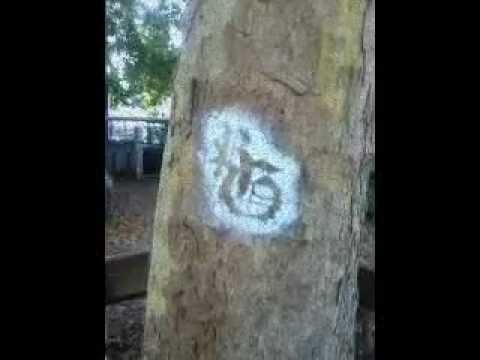 Dim & T.R. Klassik- Kavier 2 (feat.Melina)