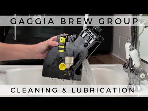 Gaggia Accademia 2022 - How to Clean and Lubricate the Brew Group