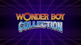 [閒聊] Wonder Boy Collection 神奇男孩系列