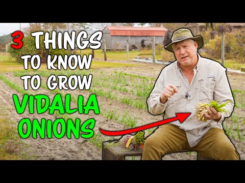 , title : 'How to Grow Sweet (Vidalia) Onions'