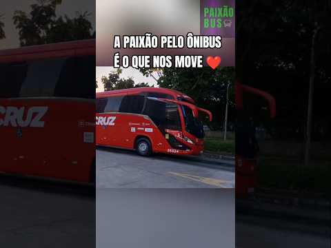 SÃO PAULO x BOFETE - SANTA CRUZ 35324 #zezédicamargoeluciano #sertanejo #zezédicamargo