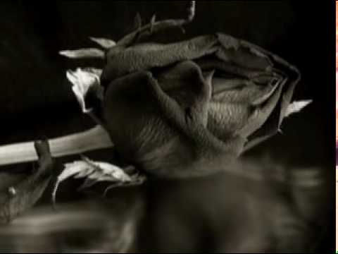 Grup Koridor - Gül Cicegim 2009