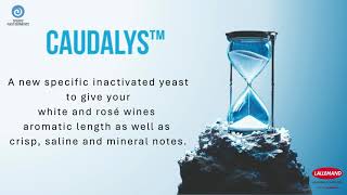 CAUDALYS™: Enhance Aromatic Length, Salinity & Freshness in White & Rosé Wines