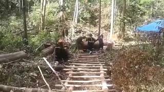 Download lagu Kerja balak mp3 Download lagu Kerja balak mp3