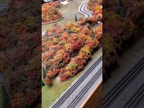 Miniature Railroad and Village - Carnegie Science Museum, Pittsburgh