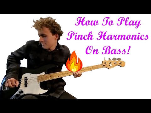 How To Play Pinch Harmonics On Bass!