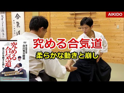 New DVD released! Amazing Aikido Volume 3 – Ryuji Shirakawa
