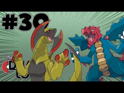 Pokémon Black DualLocke Ep.30 - THE FUCKING DRAGONS