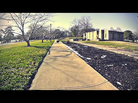 The Adventures of Rasta Bowwow - Episode 3672 - 11 28 2023