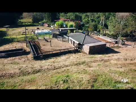 Vídeo - MARAVILHOSA FAZENDA DE GADO DE CORTE - Lote/Terreno em Santo Antônio do Descoberto - à venda - CASA GOLD IMÓVEIS