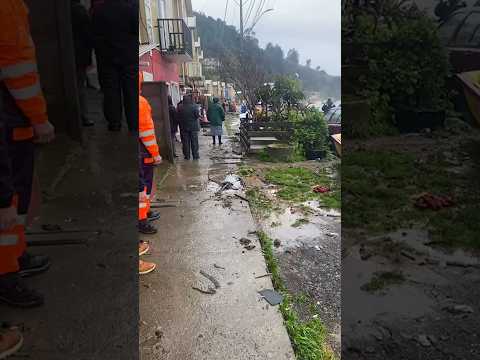 Las marejadas causaron daños en las embarcaciones en Caleta Tumbes, en Talcahuano