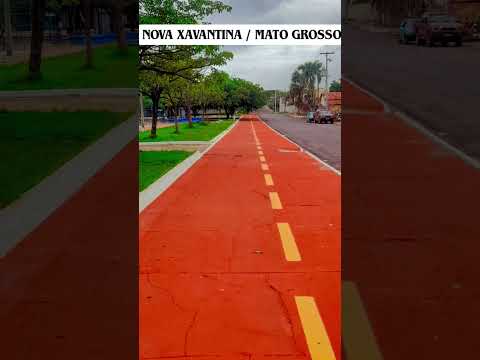 Nova Xavantina  /  Mato  Grosso