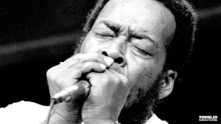 JAMES COTTON - Nine Below Zero [LIVE 1967]