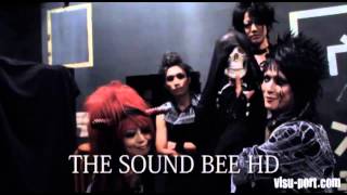 THE SOUND BEE HD [visu-port 独占コメント 2013/09/11]