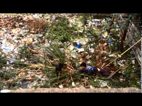 Puppy rescued from Well