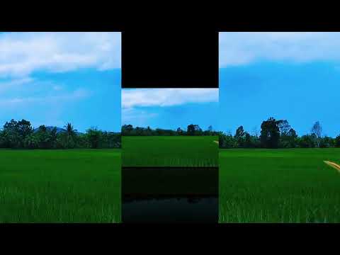 Kunjungan kesawah pertanian Masyarakat Desa Raden