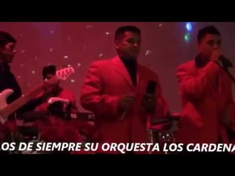 ORQUESTA LOS CARDENAS NY 2012, FEST- Sr MISERICORDIA DE SAN FERNANDO AZUAY ECUADOR, TARRYTOWN 2012